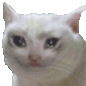 SedCat emoji