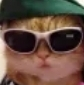 funniecat emoji