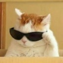 coolcat emoji
