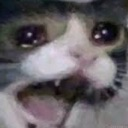 catscared emoji