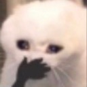 cat_tehee emoji