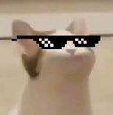 Cat_Pop_Sunglasses emoji