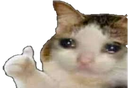 Cat_Thumbs_Up emoji