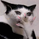 catgasp emoji
