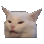 FZ_what_cat emoji
