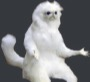 comeoncat emoji