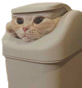 BinCat emoji