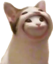 CatinpopCat emoji