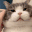 cat_massage emoji