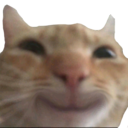HappyCat emoji