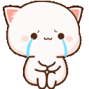 catcrying emoji