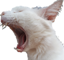 CatScream emoji