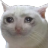 cat_crying emoji