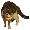 catloading emoji