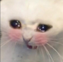 b_catblush emoji