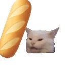 catbonkbaguette emoji