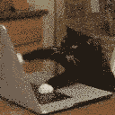 cat_coding emoji