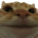 CatNope emoji
