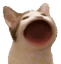 pogcat emoji