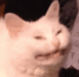 blushcat emoji