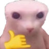 catswag emoji