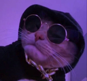aestheticcat emoji