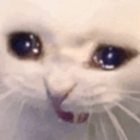 cryingcat emoji