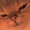cathehe emoji