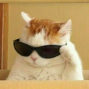 cat emoji