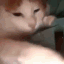 milfs_juulcat emoji