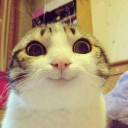 KittySmile emoji