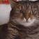 ELY_interstellarcat emoji