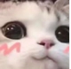 UwU emoji