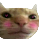 CatBlush emoji
