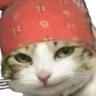 catrecardo emoji