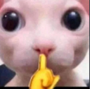 catshush emoji