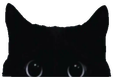 peepblackcat emoji