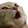 ggpolishcatpog emoji
