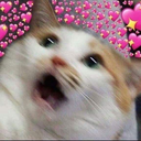 CateCute emoji
