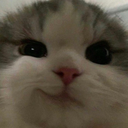 catsmirk emoji