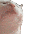 catjamhaha emoji
