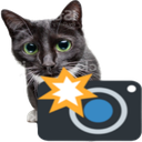 9203caughtin4kcat emoji