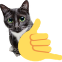 3658radcatsideways emoji