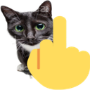 4287middlefingercat emoji