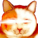 KittyWoke emoji