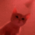 dancecat1 emoji