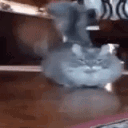 catrun emoji