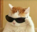 coolcat emoji