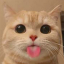 catbleh emoji