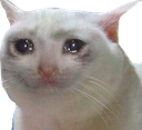 w_sadcat emoji